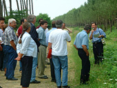 Visites en forêt